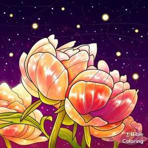 Meet your Posher, Farley